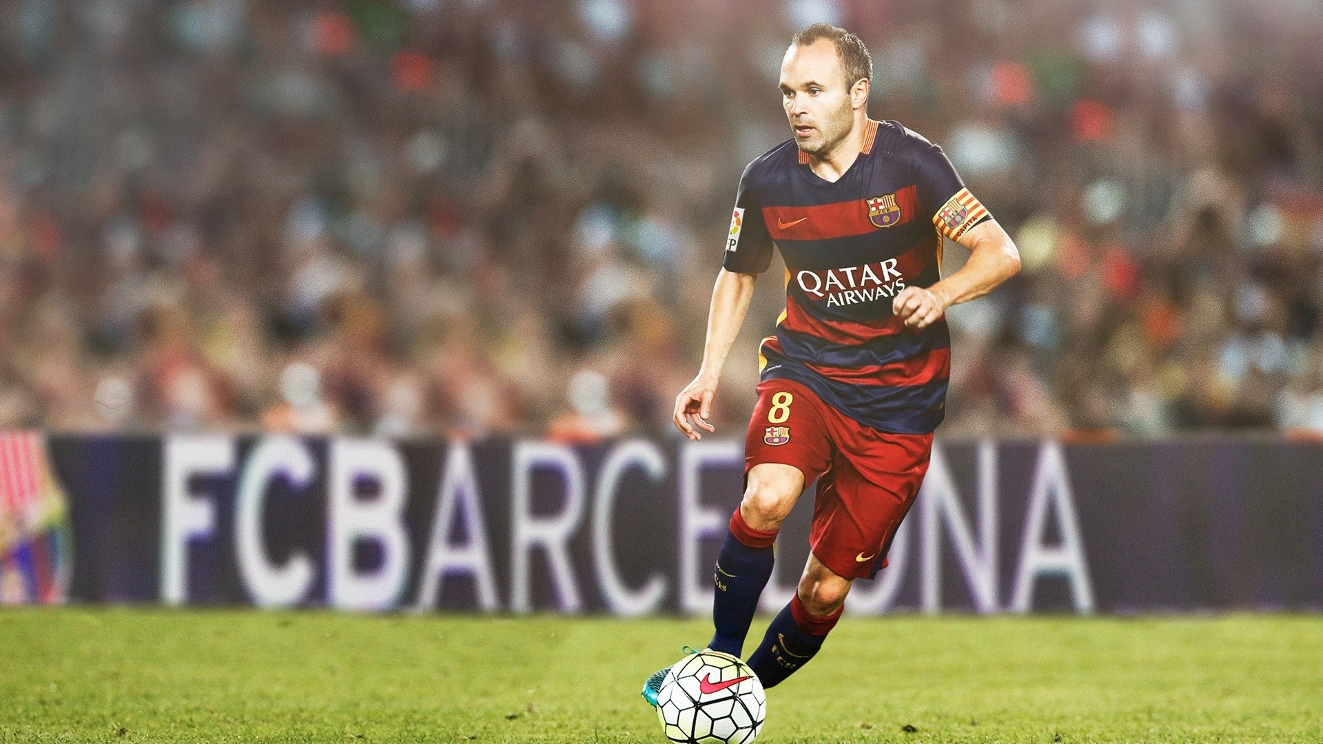 公牛稳步前行！，公牛新品发布